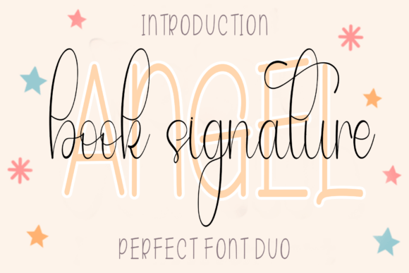 Angel Book Signature Font for Clear Campaigns