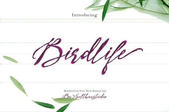 Bird Life Font: Elevating Web Design with Handwritten Charm