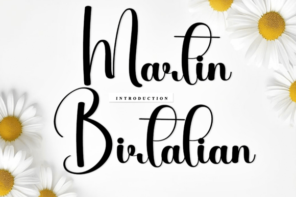 Martin Birtalian: A Script Font for Modern Web Design