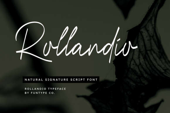 Rollandio: A Designer’s Honest Take on Modern Script