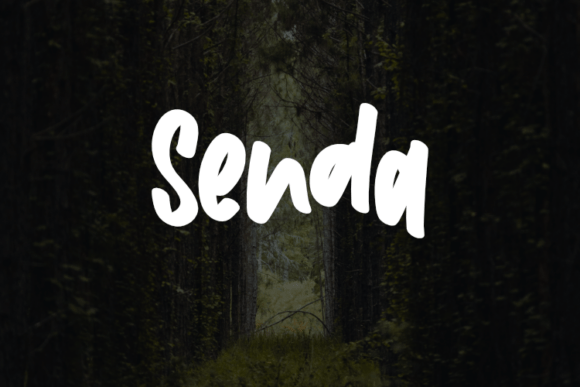Senda: A Flexible Typeface for Modern Campaigns